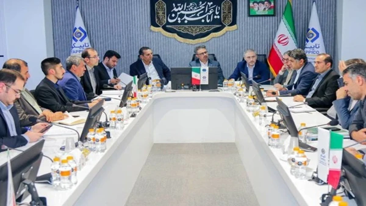 تمرکز هلدینگ تاسیکو بر توسعه پایدار در زنجیره صنعت سلولزی