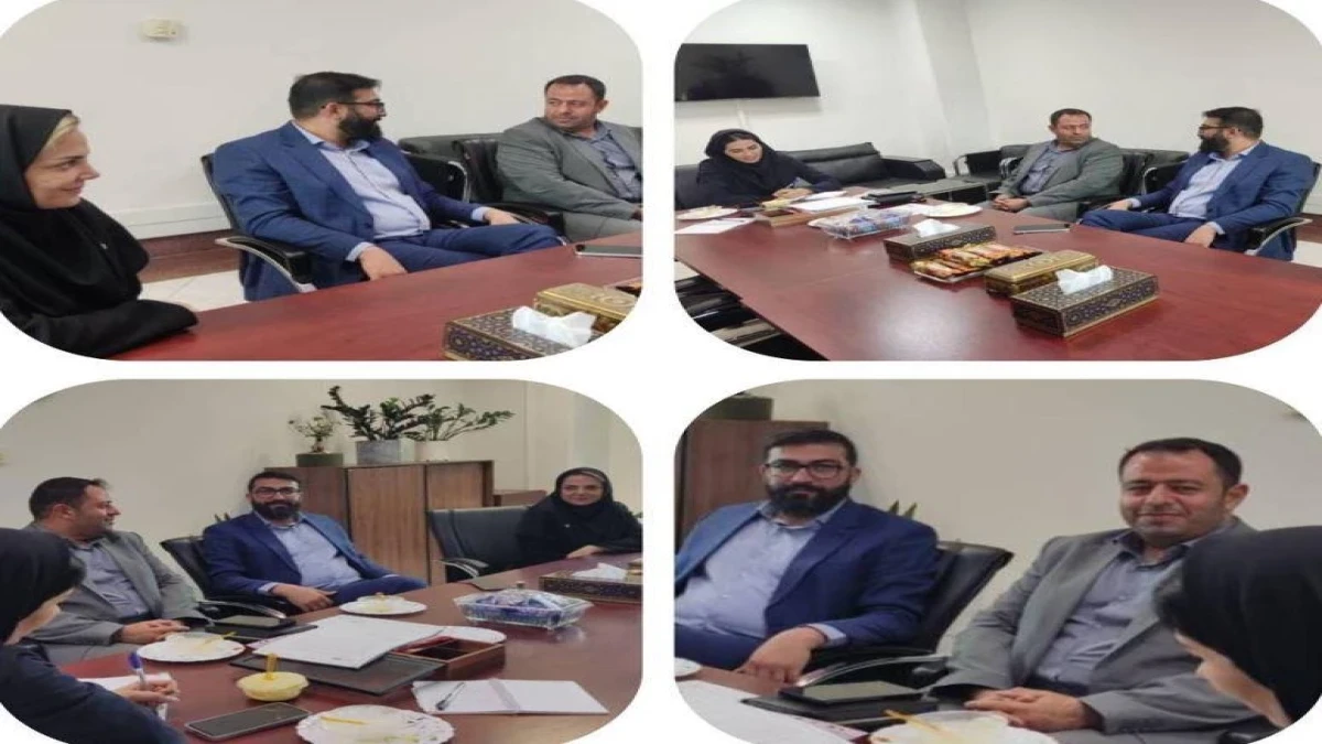نشست مشترک شعبه ایثار بیمه دی و شرکت توزیع نیروی برق تهران بزرگ